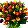 Green Academy - florists: bouquets